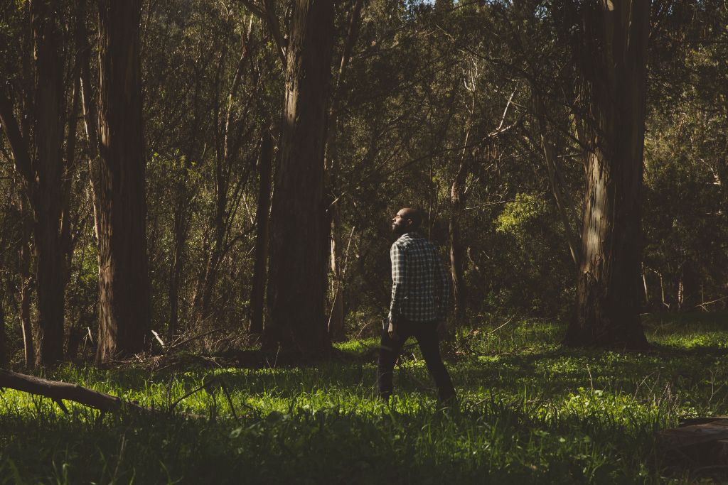 Jeremy walking alone in the forest — the inward journey