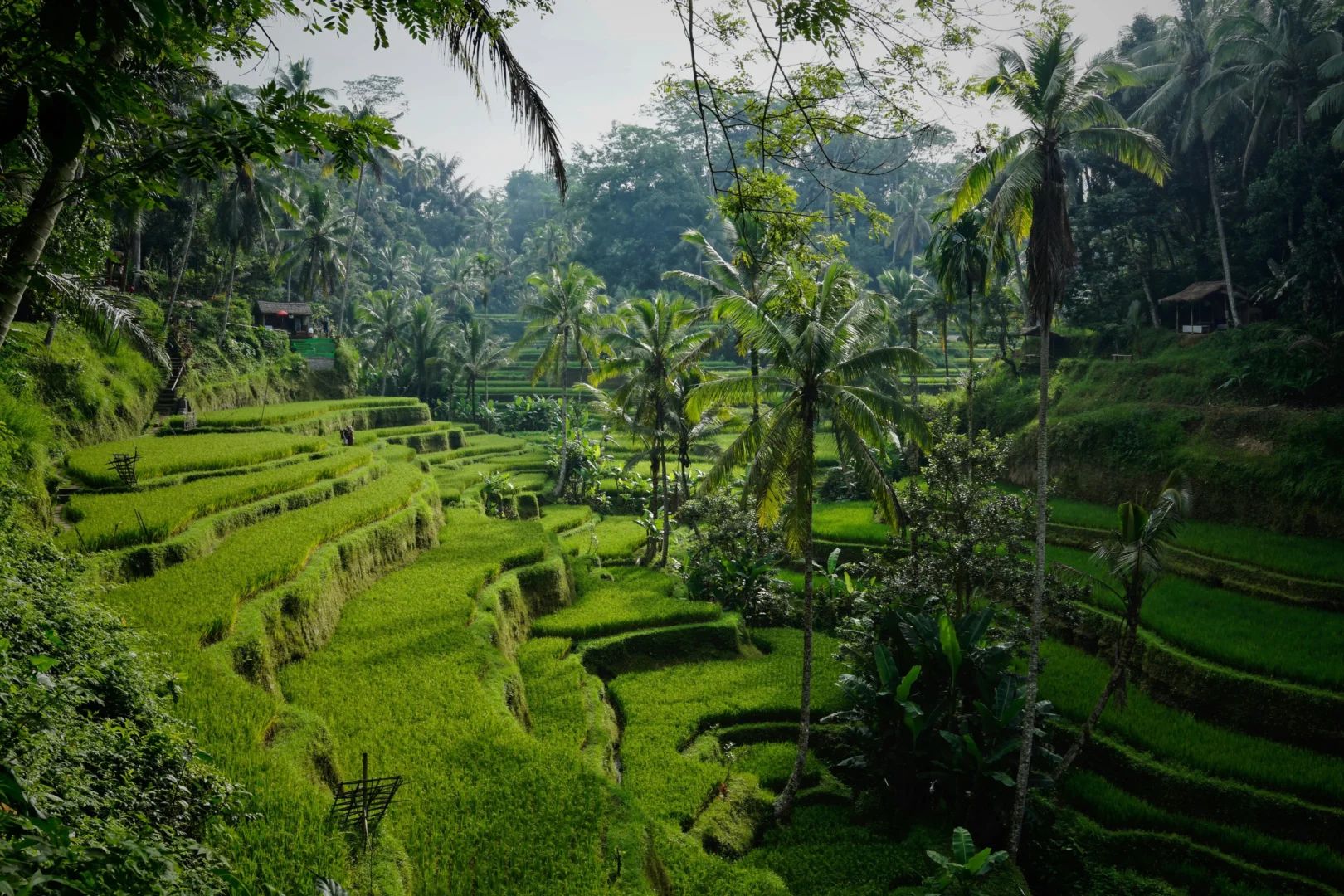 Abundance Temple — Bali